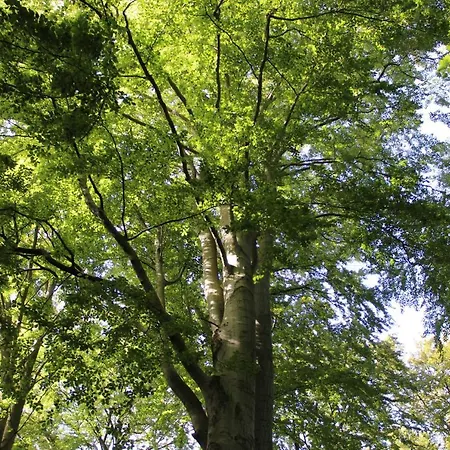 Bakenberg, 15 Lägenhet *